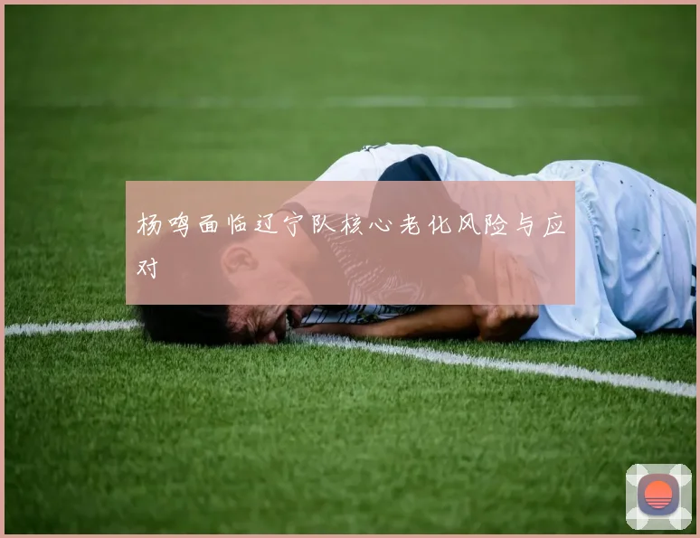 杨鸣面临辽宁队核心老化风险与应对