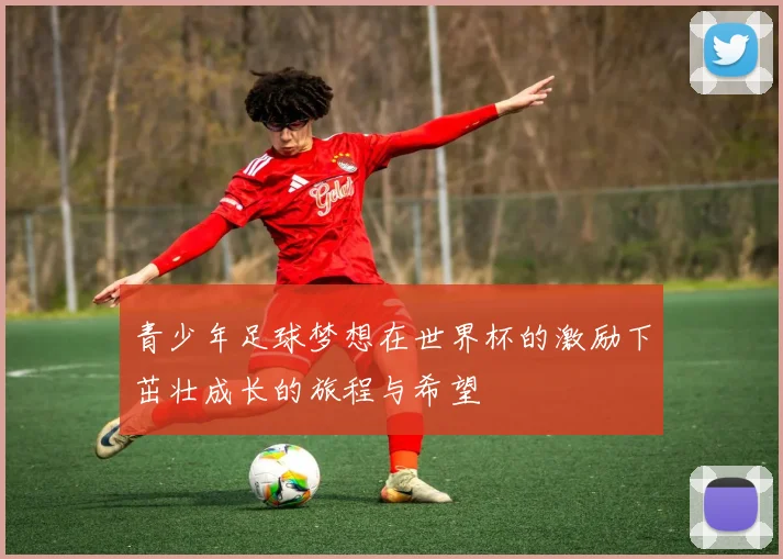 青少年足球梦想在世界杯的激励下茁壮成长的旅程与希望