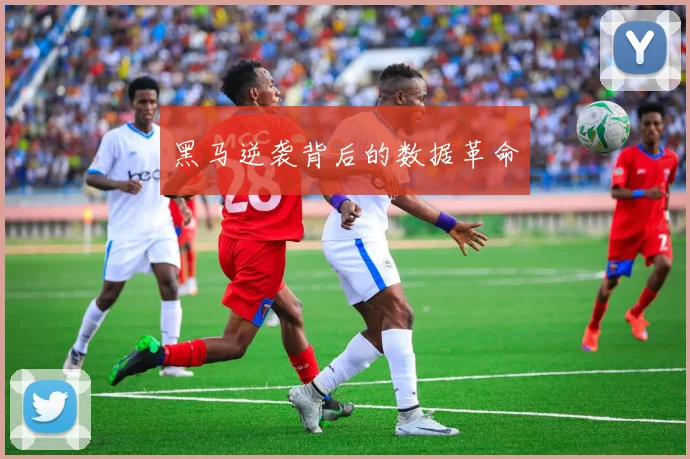 黑马逆袭背后的数据革命